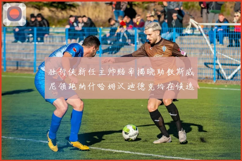 独行侠新任主帅赔率揭晓助教斯威尼领跑纳什哈姆汉迪德克均在候选之中